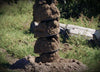 Digga A6 Earth Auger